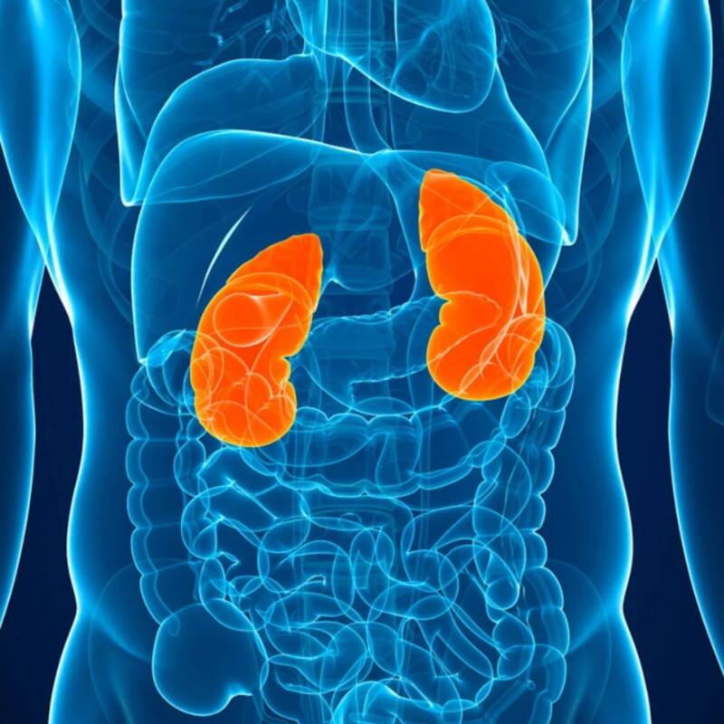 Desarrollan una vacuna contra el cáncer de riñón