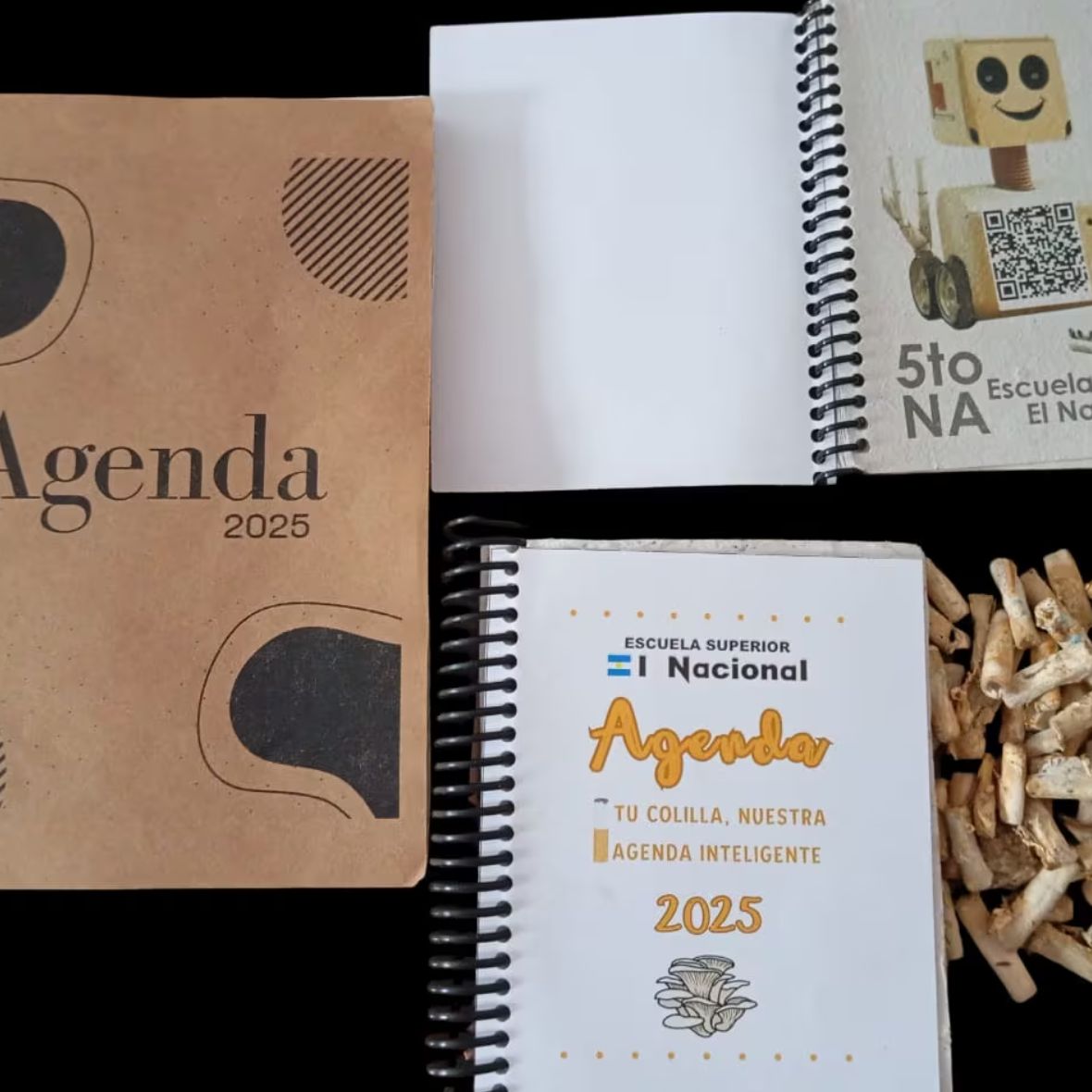 Agendas con colillas de cigarrillos
