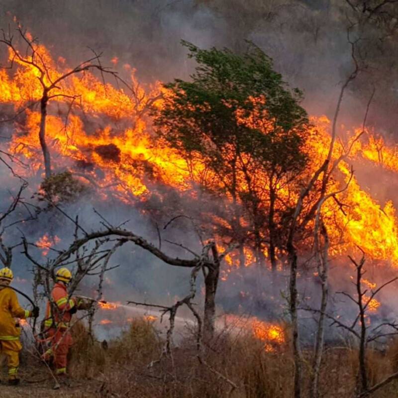 Argentina propone tipificar el ecocidio como delito penal