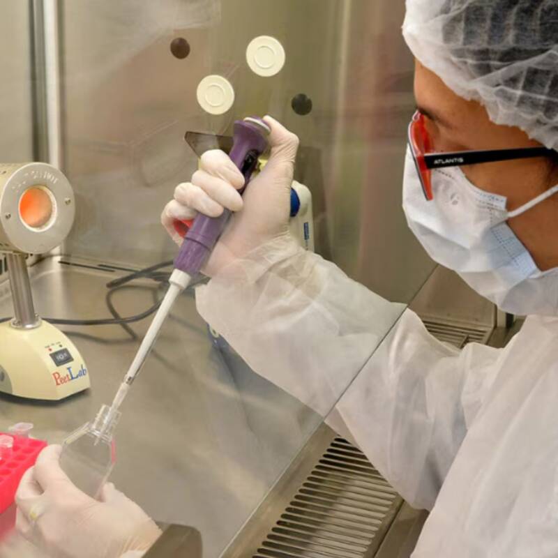 Médicos argentinos crearon un kit con IA para detectar cáncer de próstata