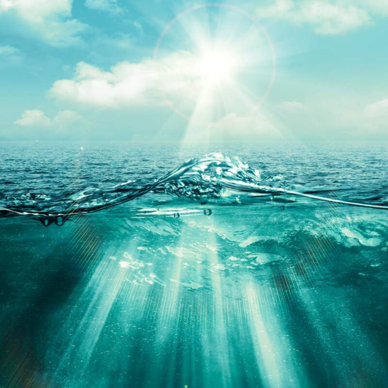 Alertan sobre el calentamiento de los océanos entre Nueva Zelanda y Argentina