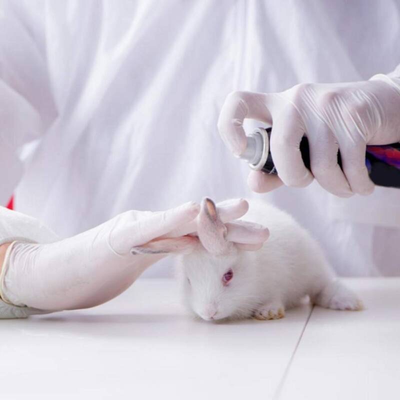 Brasil prohibió las pruebas cosméticas en animales