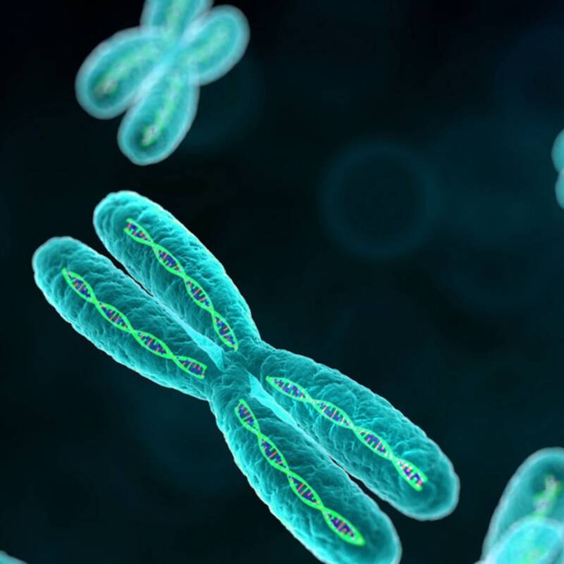 Científicos eliminaron en laboratorio el cromosoma extra que causa el síndrome de Down