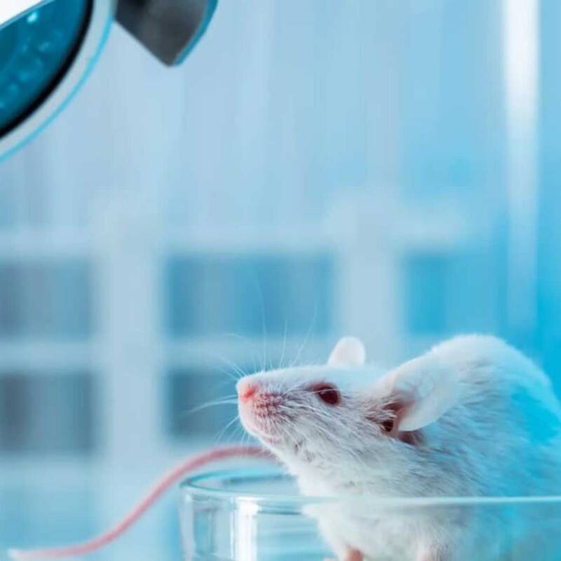 Científicos lograron cambiar el sexo biológico de mamíferos