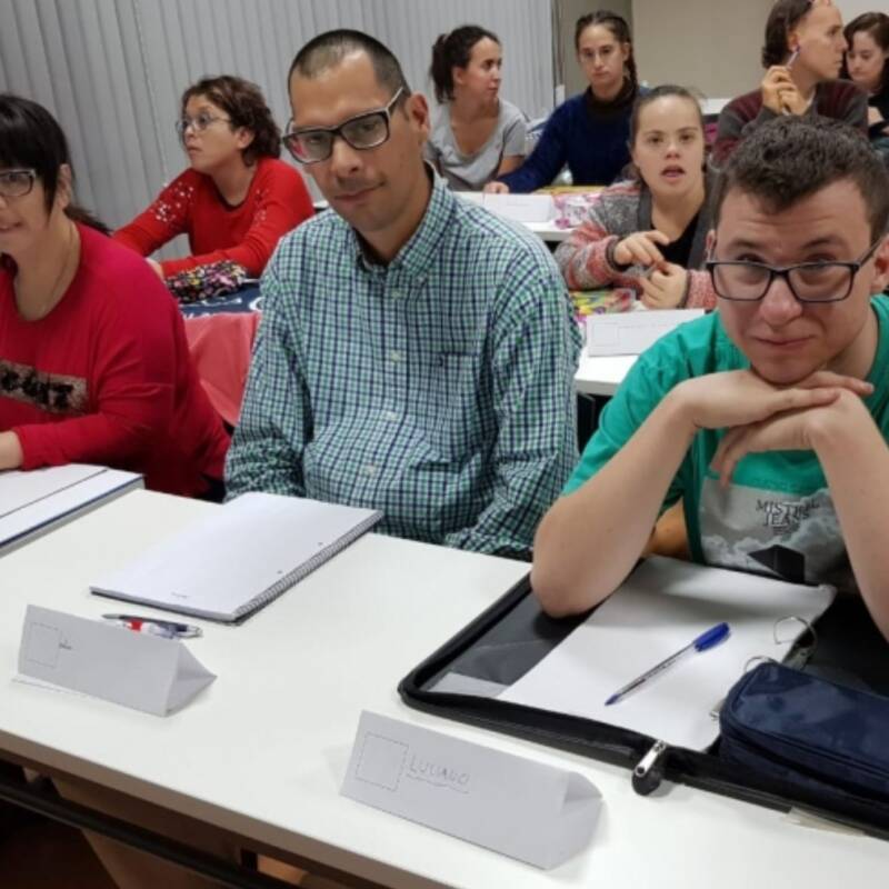 Cómo hablamos cuando hablamos de discapacidad intelectual