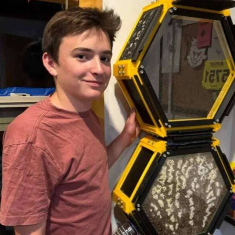 Con 13 años creó una colmena 3D que alberga más de 40 mil abejas