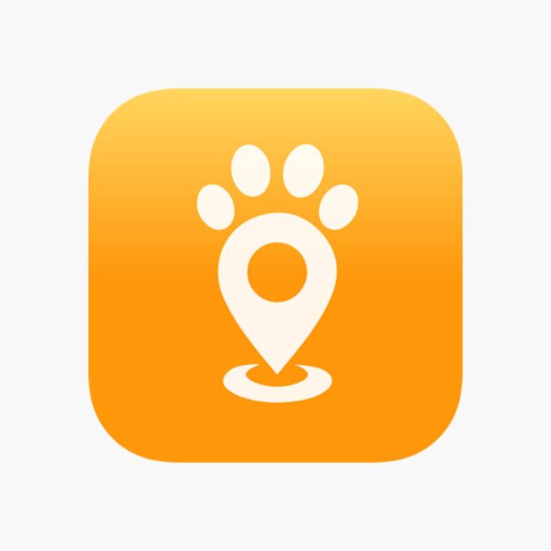 Crearon una plataforma para encontrar mascotas perdidas en los incendios de la Patagonia argentina