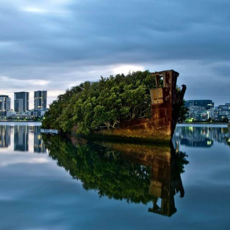 De barco de guerra a bosque flotante en la bahía de Sídney