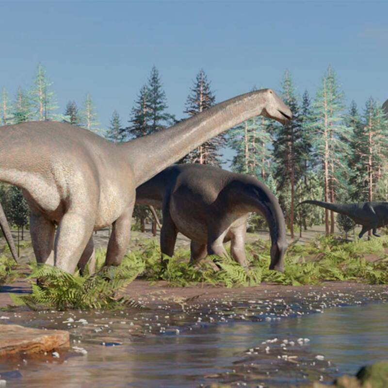 Descubren que muchos dinosaurios no rugían, sino que “cantaban”