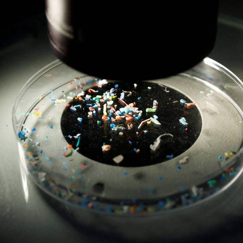 Detectan microplásticos en los ovarios: ¿qué impacto tiene en la fertilidad?