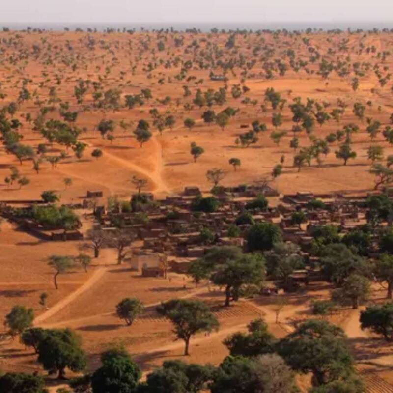 El desierto del Sahara fue una gran sabana verde