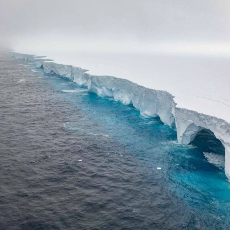 El iceberg más grande del mundo se detuvo en un paraíso natural