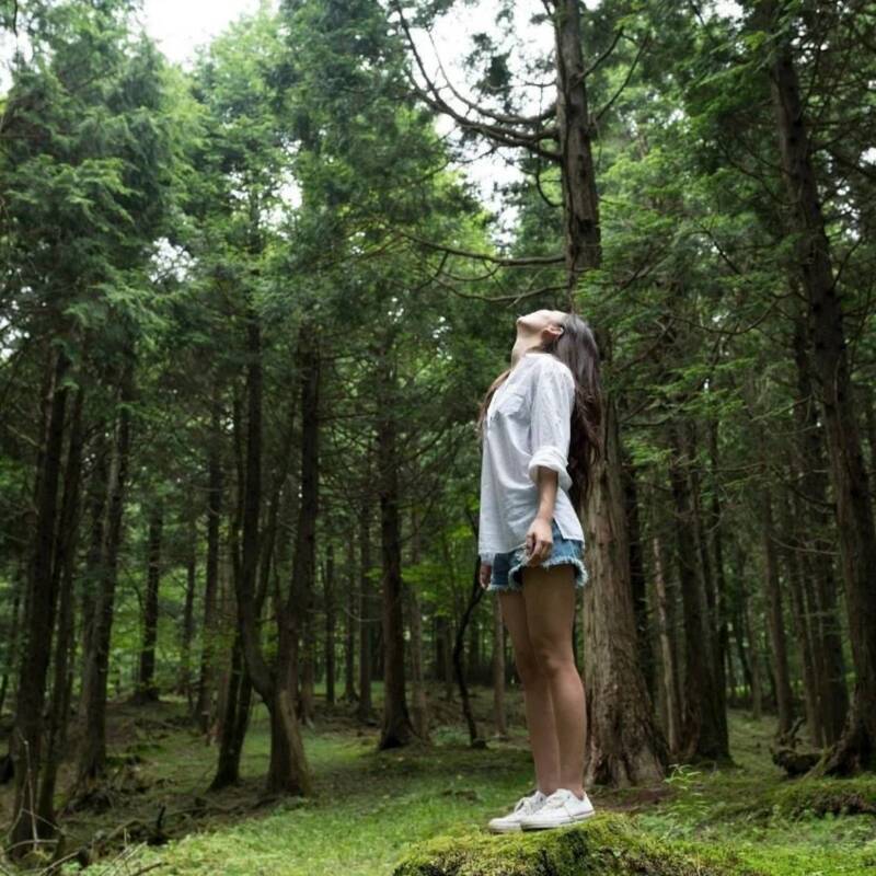 En qué consta la terapia Shinrin-yoku