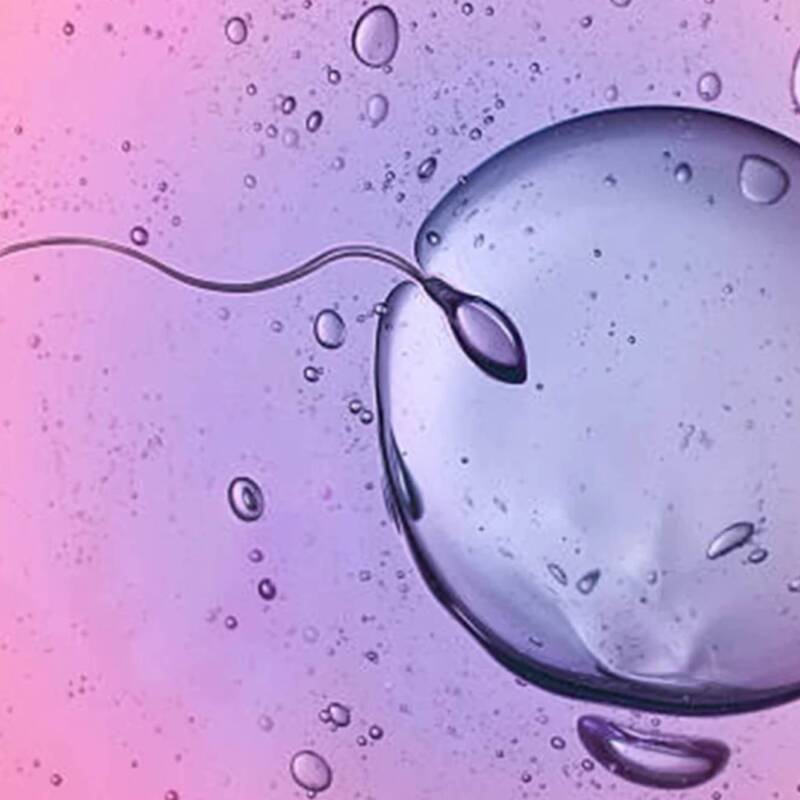 Encontraron microplásticos en el semen y los ovarios