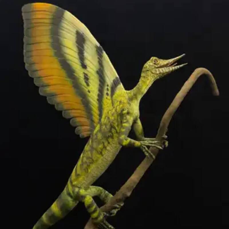 Encontraron un fósil de 247 millones de años de antigüedad