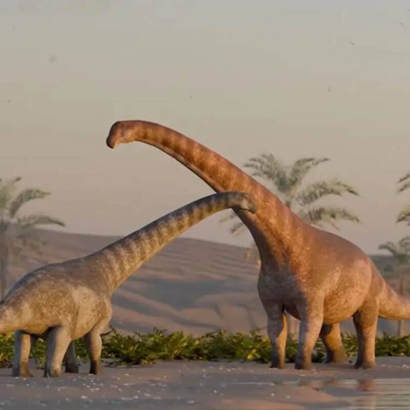 Encontraron un nuevo dinosaurio en la Patagonia argentina