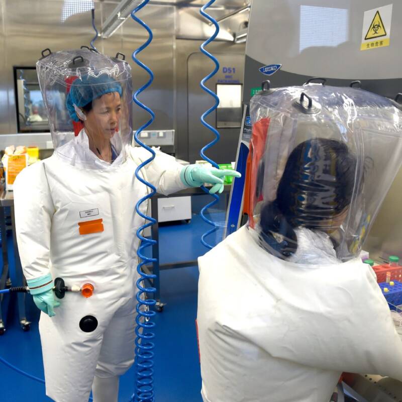 Epidemiólogos advirtieron sobre los riesgos de seguridad en los laboratorios que investigan virus con potencial pandémico