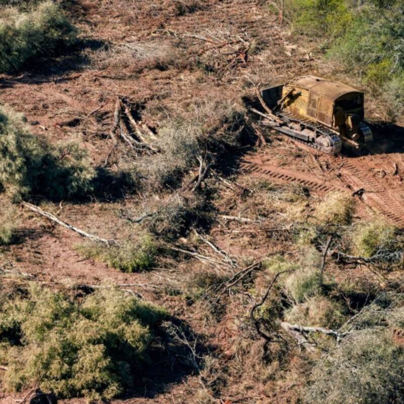 Extienden la prohibición de desmontes en la provincia argentina de Chaco