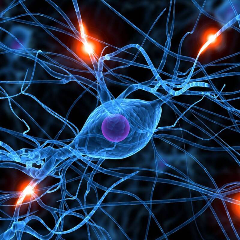 Francia descubrió un nuevo grupo sanguíneo: “Solo hay una persona en el mundo compatible consigo misma”