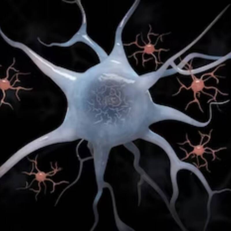 Identificaron la base genética de la tartamudez