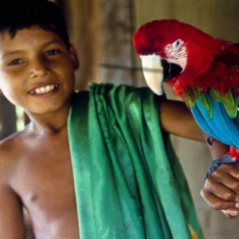 La comunidad de la Amazonía que creó su propia guía de aves