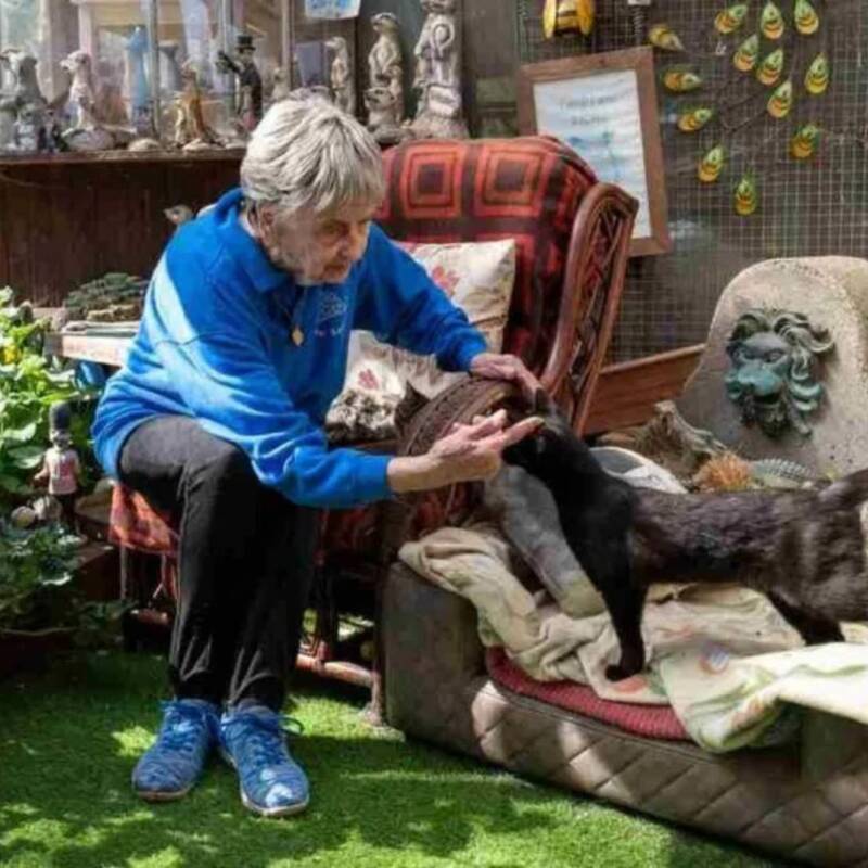 La mujer que con 90 años salva miles de vidas animales