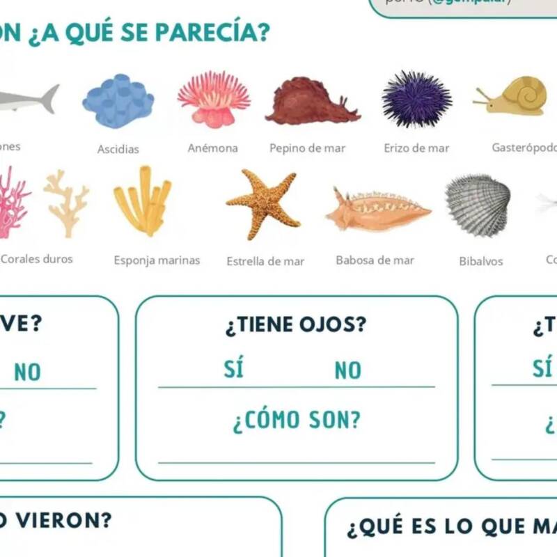 Lanzaron un álbum de figuritas de los nuevos hallazgos del CONICET