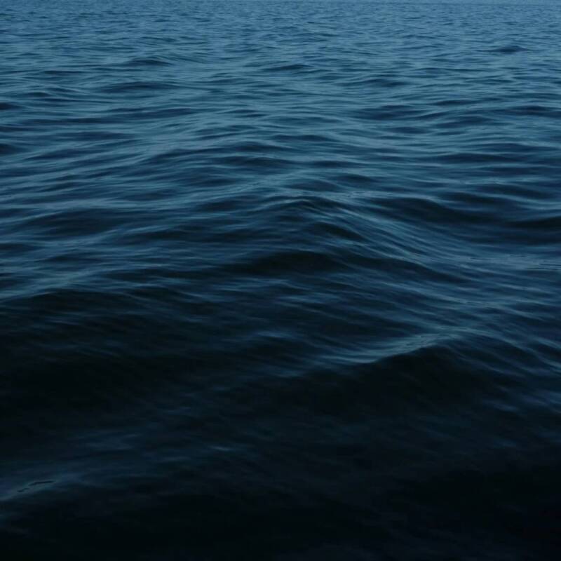 Los océanos del mundo se oscurecen