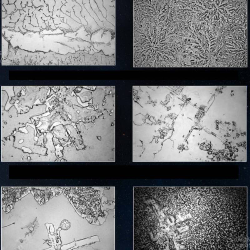 Más Allá de la Emoción: Tipos de lágrimas, su composición y el impacto en la salud