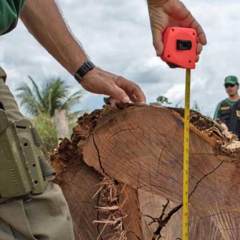 Qué son los empleos de “cuello azul” y la situación ante el avance de la IA