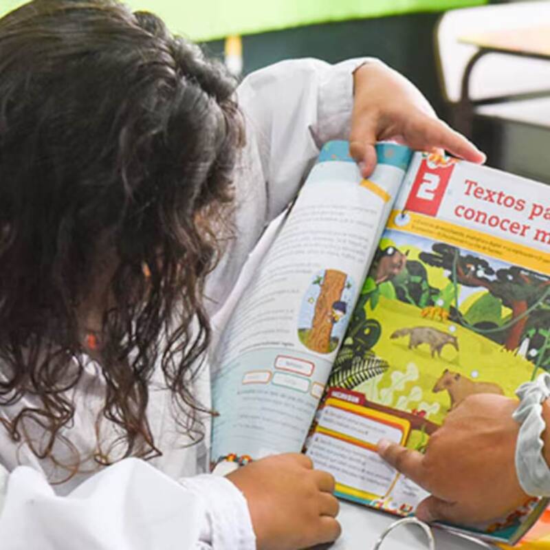 Sólo el 45% de los alumnos argentinos de tercer grado alcanzó el nivel de lectura esperado