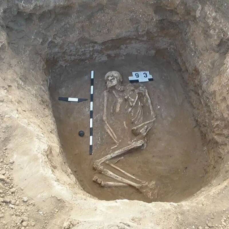 Un estudio genético identificó el origen de lenguas