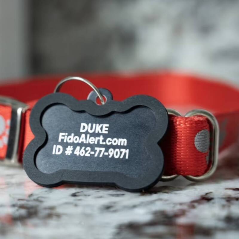 Un sistema ayudó a reunir a 40.000 mascotas perdidas