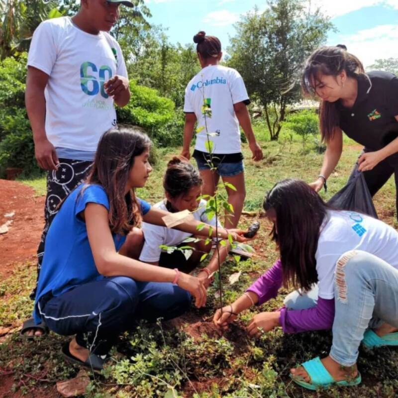 Plantarán 10.000 árboles para reforestar la Selva Misionera